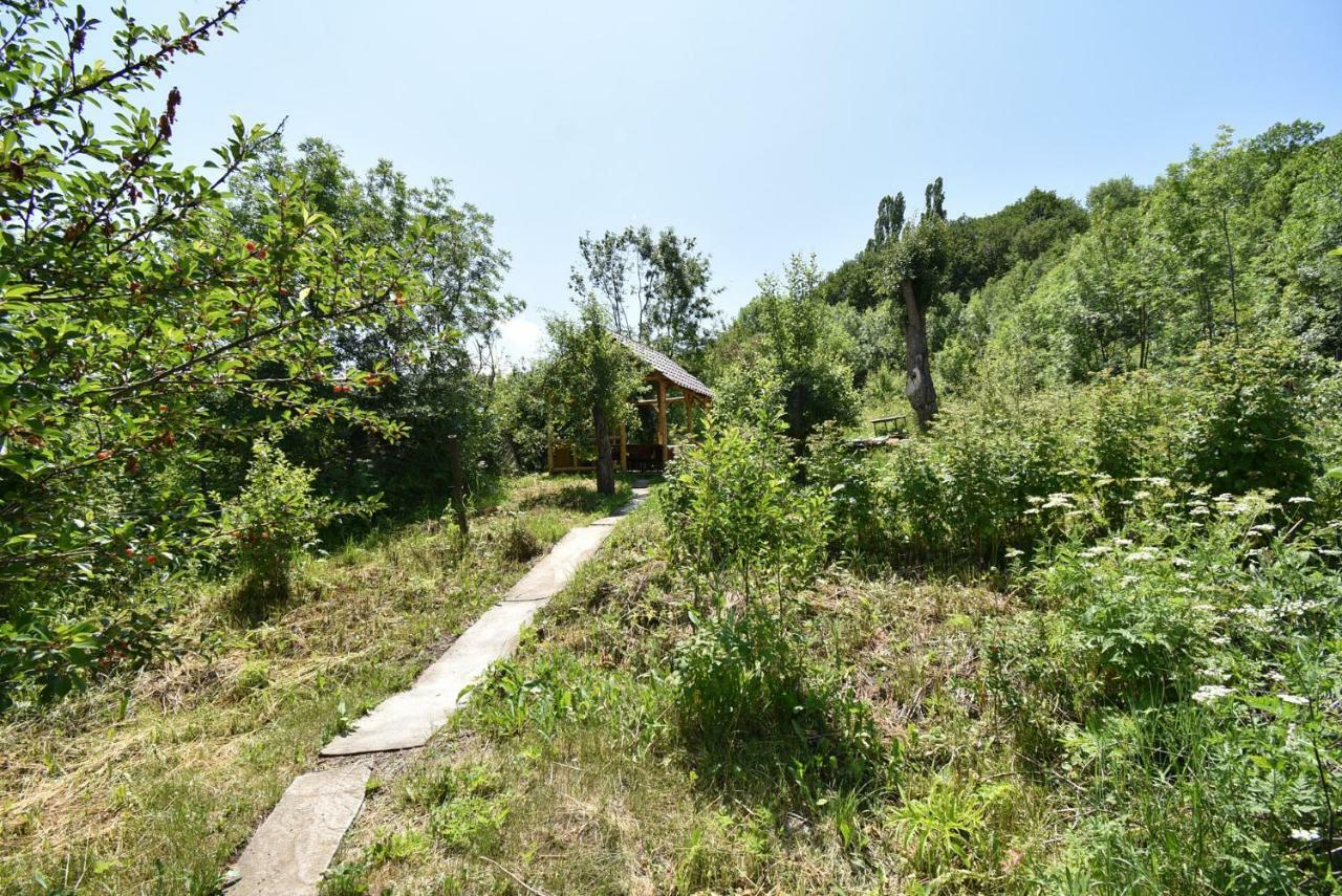 Guest House Arsan Tsaghkadzor Eksteriør billede
